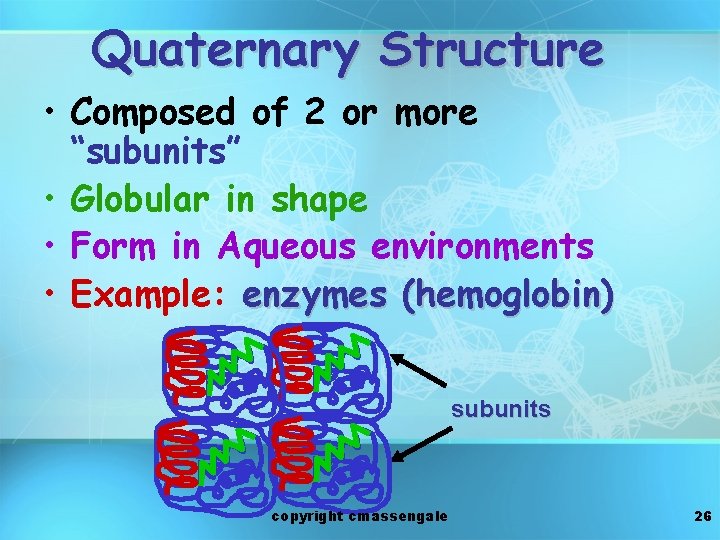 Quaternary Structure • Composed of 2 or more “subunits” • Globular in shape •