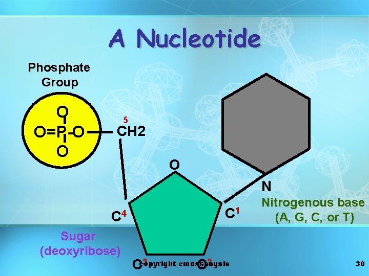 A Nucleotide Phosphate Group O O=P-O O 5 CH 2 O N C 4