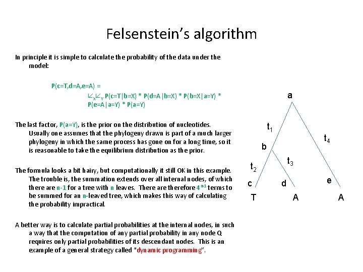 Felsenstein’s algorithm In principle it is simple to calculate the probability of the data
