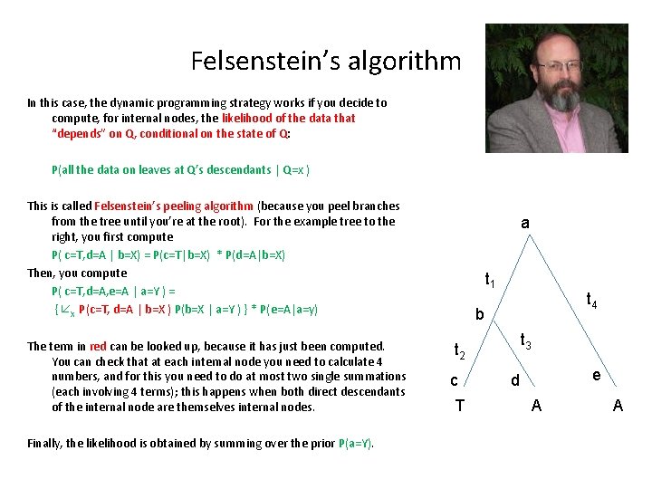 Felsenstein’s algorithm In this case, the dynamic programming strategy works if you decide to