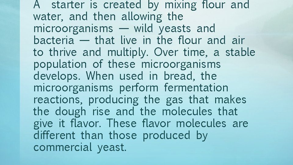 A starter is created by mixing flour and water, and then allowing the microorganisms