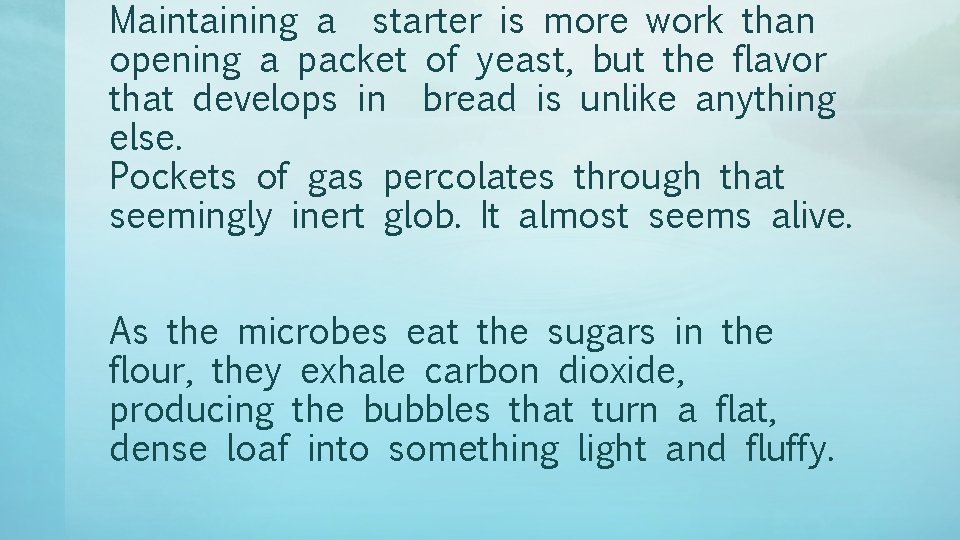 Maintaining a starter is more work than opening a packet of yeast, but the