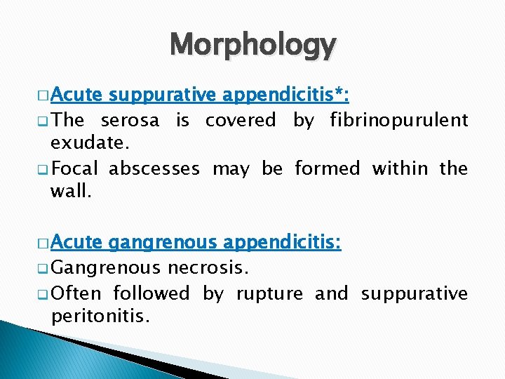 Morphology � Acute suppurative appendicitis*: q The serosa is covered by fibrinopurulent exudate. q Morphology � Acute suppurative appendicitis*: q The serosa is covered by fibrinopurulent exudate. q