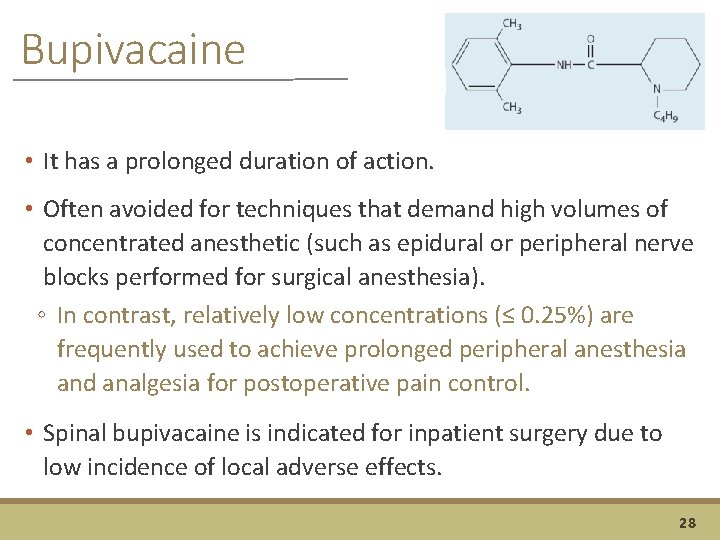 Bupivacaine • It has a prolonged duration of action. • Often avoided for techniques