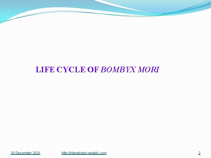LIFE CYCLE OF BOMBYX MORI 30 December 2021 http: //hbmahesh. weebly. com 2 