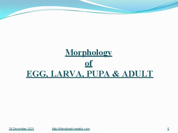 Morphology of EGG, LARVA, PUPA & ADULT 30 December 2021 http: //hbmahesh. weebly. com