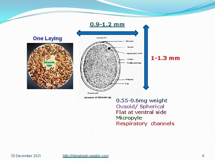 0. 9 -1. 2 mm One Laying 1 -1. 3 mm 0. 55 -0.