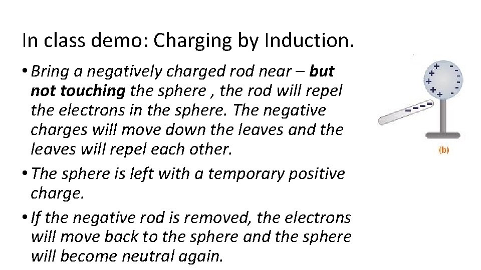 In class demo: Charging by Induction. • Bring a negatively charged rod near –