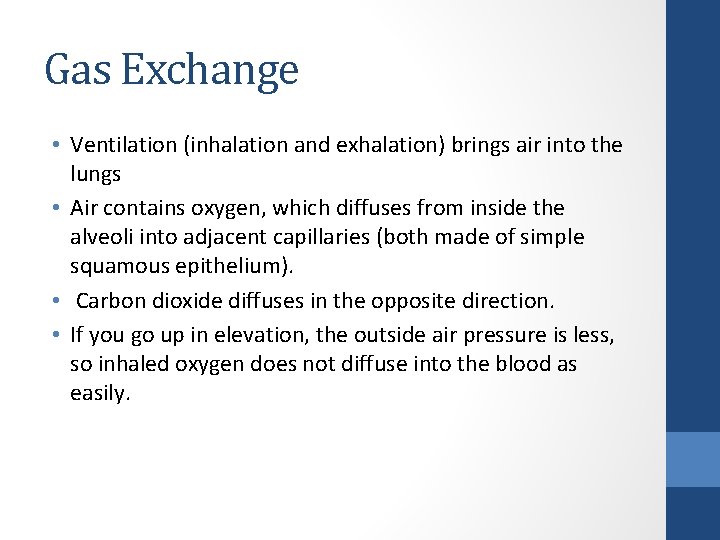 Gas Exchange • Ventilation (inhalation and exhalation) brings air into the lungs • Air