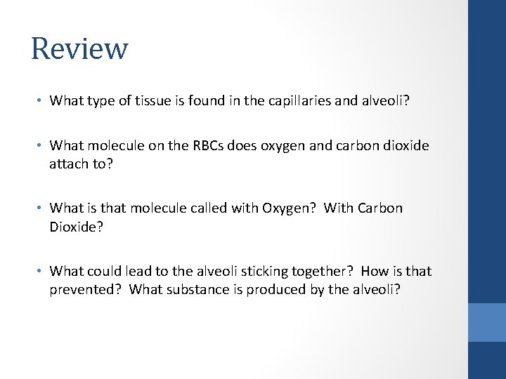 Review • What type of tissue is found in the capillaries and alveoli? •