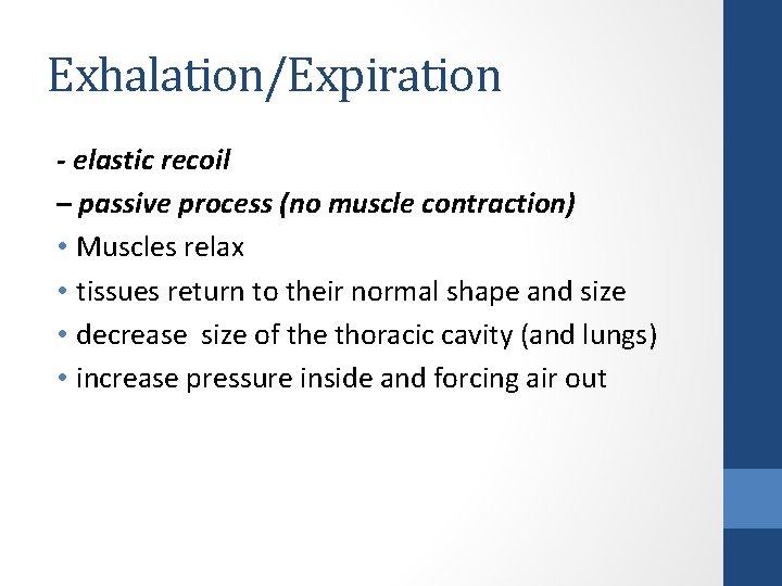 Exhalation/Expiration - elastic recoil – passive process (no muscle contraction) • Muscles relax •