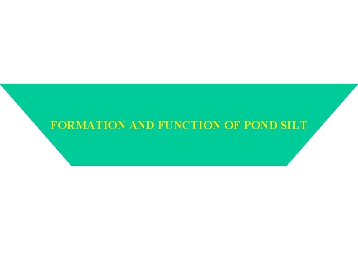 FORMATION AND FUNCTION OF POND SILT 