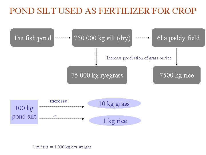 POND SILT USED AS FERTILIZER FOR CROP 1 ha fish pond 750 000 kg