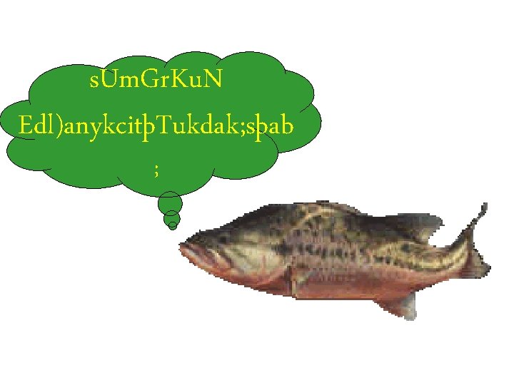 s. Um. Gr. Ku. N Edl)anykcitþTukdak; sþab ; 