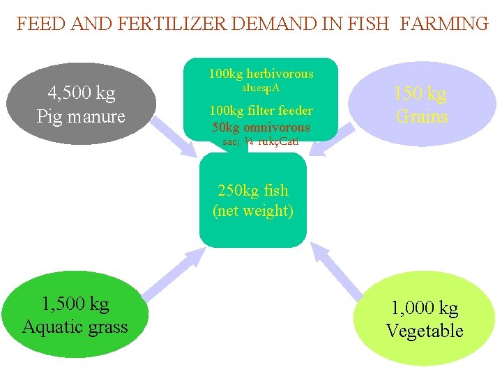 FEED AND FERTILIZER DEMAND IN FISH FARMING 100 kg herbivorous 4, 500 kg Pig
