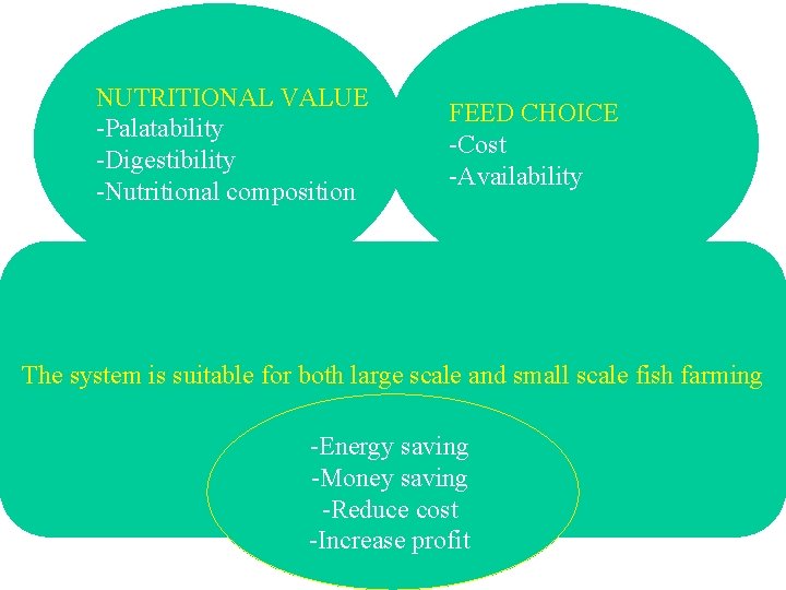 NUTRITIONAL VALUE -Palatability -Digestibility -Nutritional composition FEED CHOICE -Cost -Availability The system is suitable