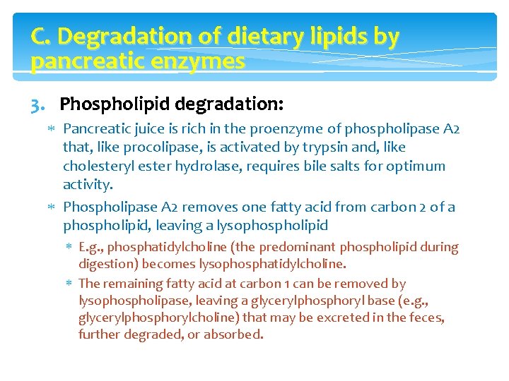 C. Degradation of dietary lipids by pancreatic enzymes 3. Phospholipid degradation: Pancreatic juice is
