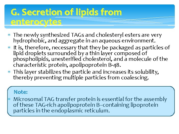 G. Secretion of lipids from enterocytes The newly synthesized TAGs and cholesteryl esters are