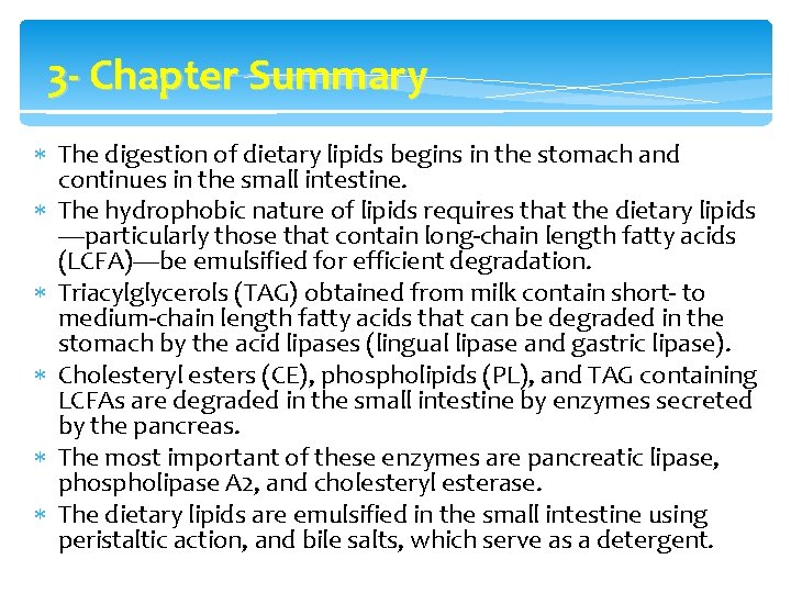 3 - Chapter Summary The digestion of dietary lipids begins in the stomach and