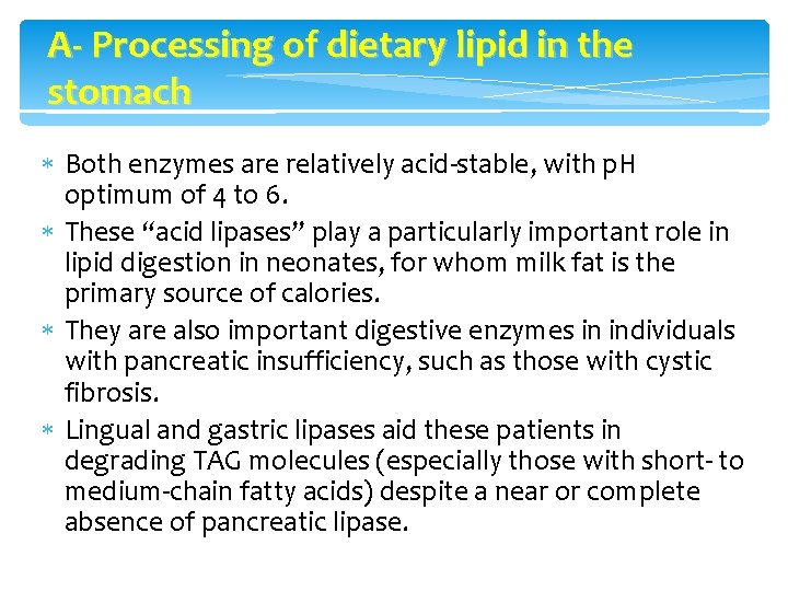 A- Processing of dietary lipid in the stomach Both enzymes are relatively acid-stable, with