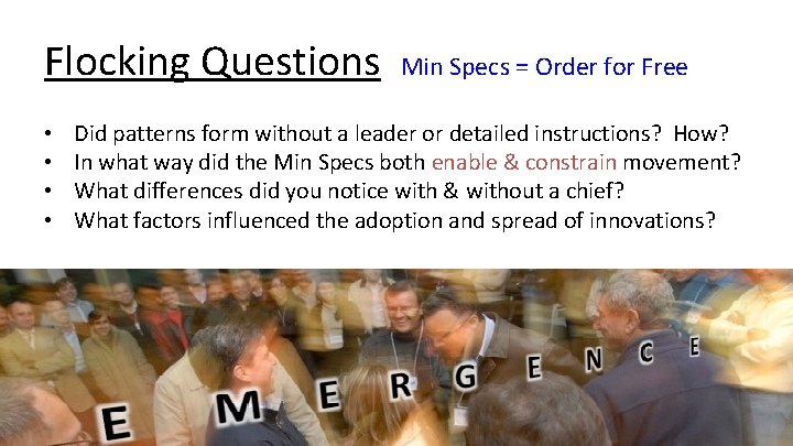 Flocking Questions • • Min Specs = Order for Free Did patterns form without