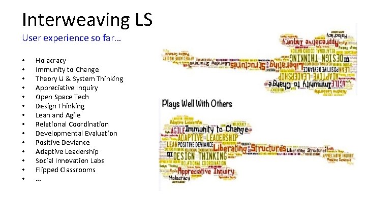 Interweaving LS User experience so far… • • • • Holacracy Immunity to Change