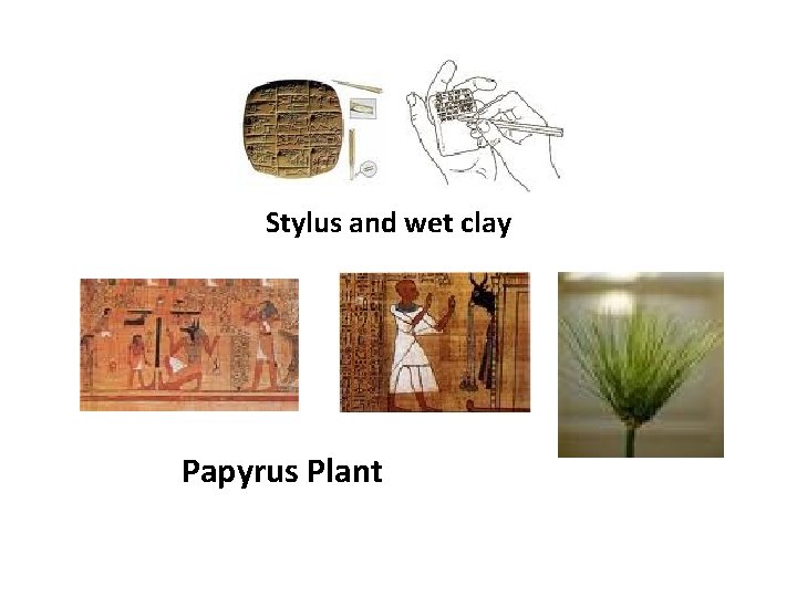Stylus and wet clay Papyrus Plant 