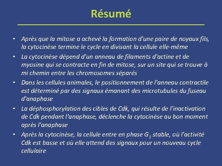 Résumé • Après que la mitose a achevé la formation d'une paire de noyaux