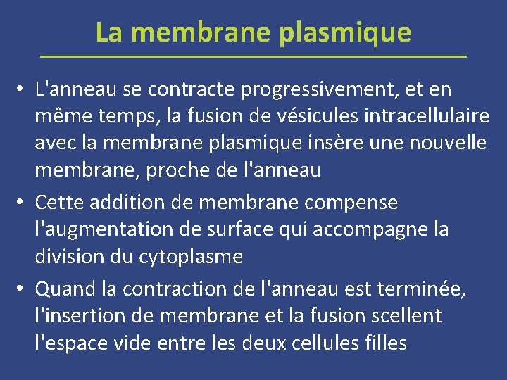 La membrane plasmique • L'anneau se contracte progressivement, et en même temps, la fusion