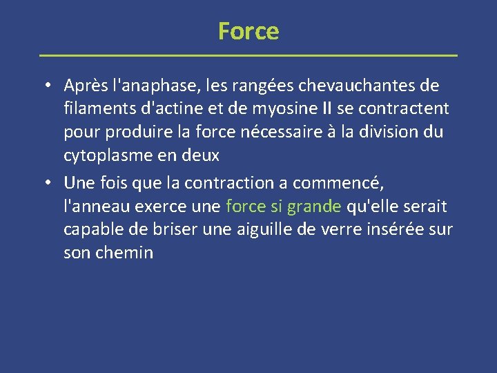 Force • Après l'anaphase, les rangées chevauchantes de filaments d'actine et de myosine II