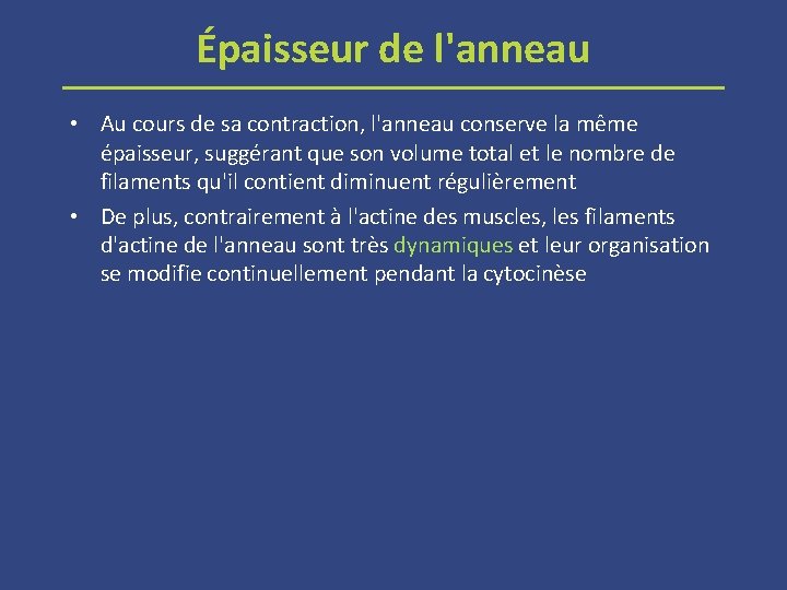 Épaisseur de l'anneau • Au cours de sa contraction, l'anneau conserve la même épaisseur,