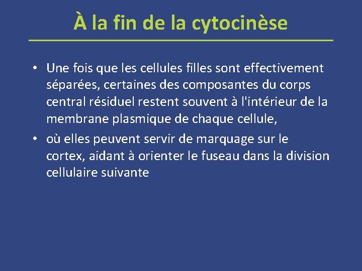 À la fin de la cytocinèse • Une fois que les cellules filles sont