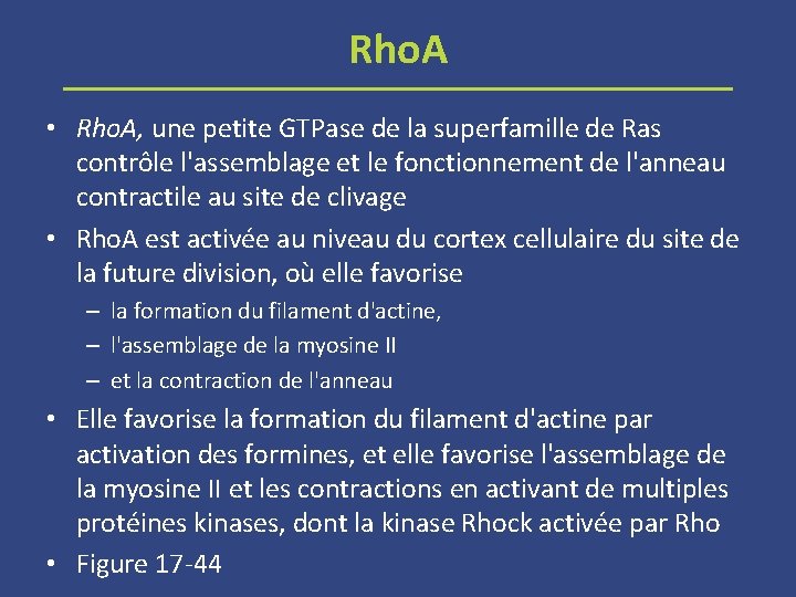 Rho. A • Rho. A, une petite GTPase de la superfamille de Ras contrôle