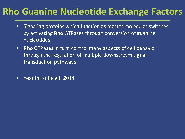 Rho Guanine Nucleotide Exchange Factors • Signaling proteins which function as master molecular switches