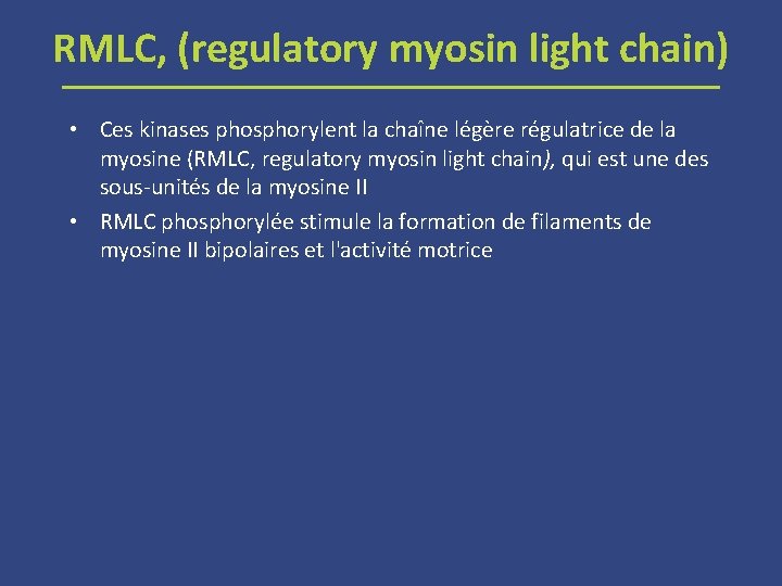 RMLC, (regulatory myosin light chain) • Ces kinases phosphorylent la chaîne légère régulatrice de