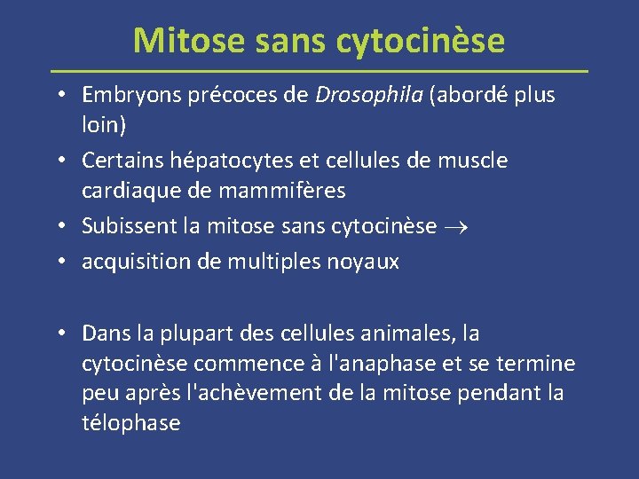 Mitose sans cytocinèse • Embryons précoces de Drosophila (abordé plus loin) • Certains hépatocytes