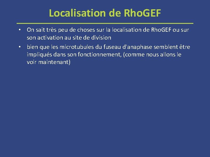 Localisation de Rho. GEF • On sait très peu de choses sur la localisation