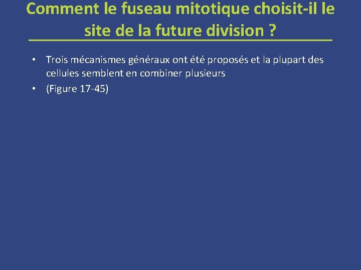 Comment le fuseau mitotique choisit-il le site de la future division ? • Trois