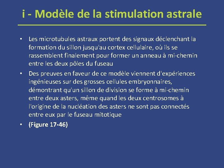 i - Modèle de la stimulation astrale • Les microtubules astraux portent des signaux