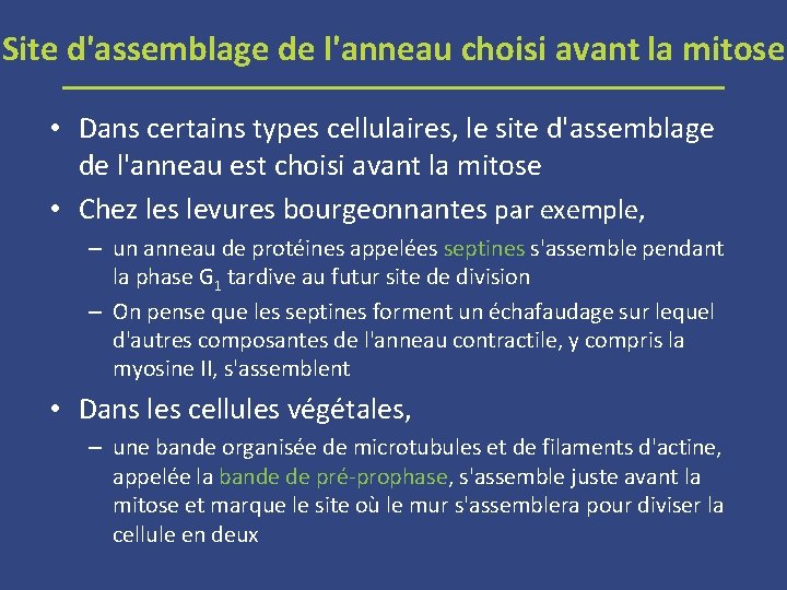 Site d'assemblage de l'anneau choisi avant la mitose • Dans certains types cellulaires, le