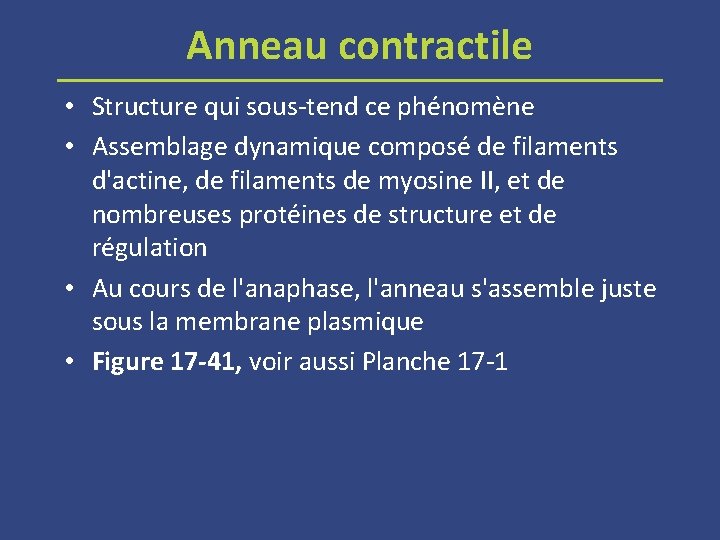 Anneau contractile • Structure qui sous-tend ce phénomène • Assemblage dynamique composé de filaments