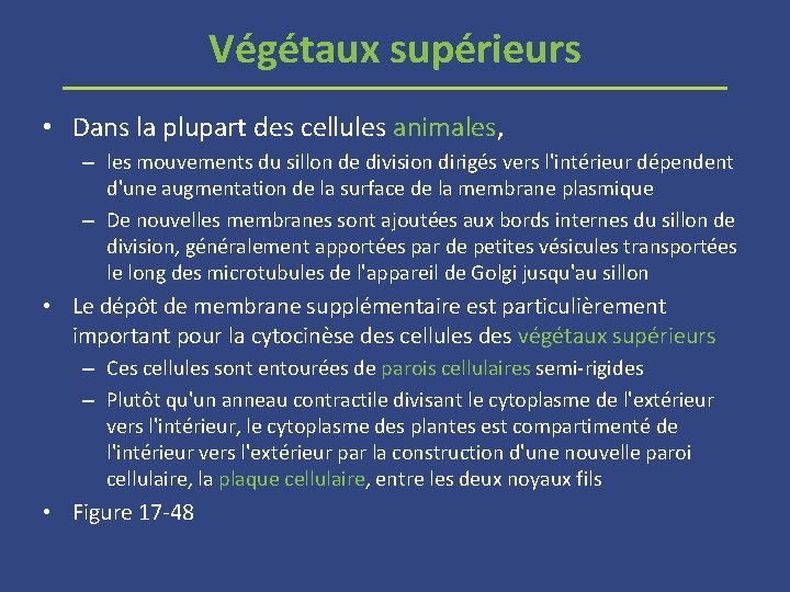 Végétaux supérieurs • Dans la plupart des cellules animales, – les mouvements du sillon