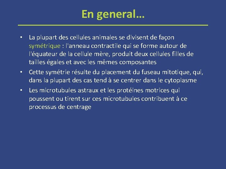 En general… • La plupart des cellules animales se divisent de façon symétrique :