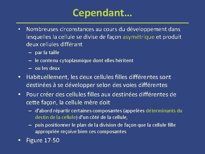 Cependant… • Nombreuses circonstances au cours du développement dans lesquelles la cellule se divise