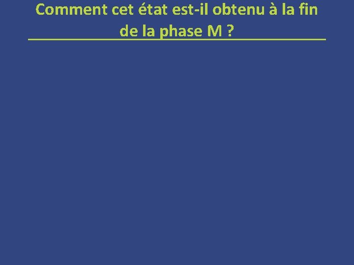 Comment cet état est-il obtenu à la fin de la phase M ? 