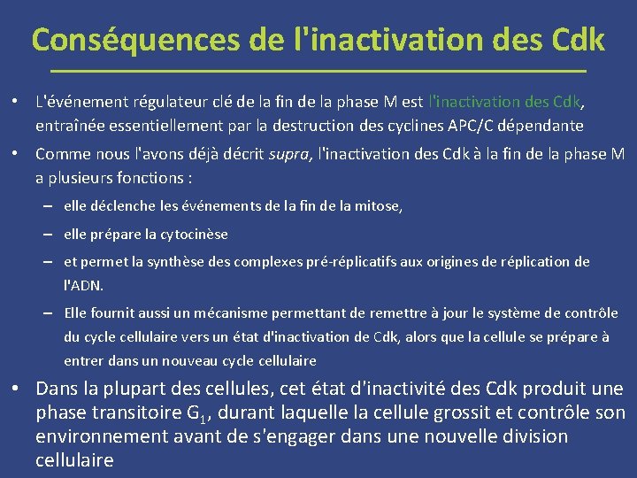 Conséquences de l'inactivation des Cdk • L'événement régulateur clé de la fin de la