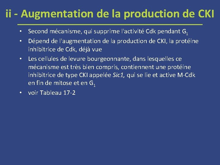 ii - Augmentation de la production de CKI • Second mécanisme, qui supprime l'activité