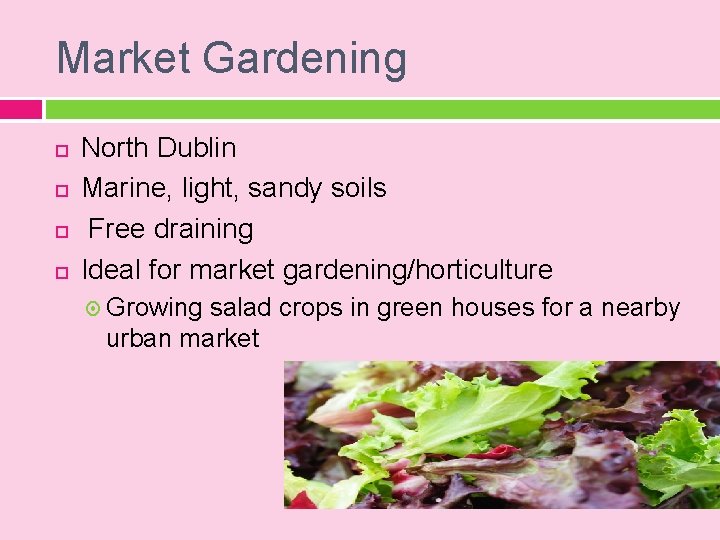 Market Gardening North Dublin Marine, light, sandy soils Free draining Ideal for market gardening/horticulture