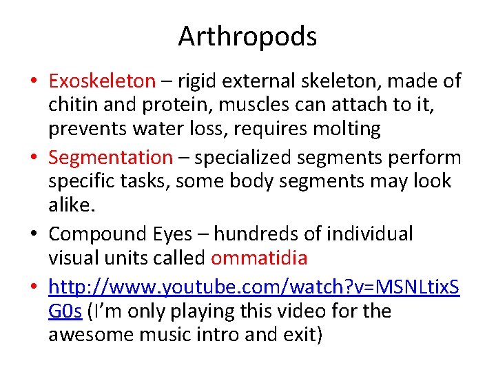 Arthropods • Exoskeleton – rigid external skeleton, made of chitin and protein, muscles can