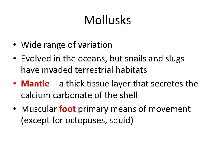 Mollusks • Wide range of variation • Evolved in the oceans, but snails and